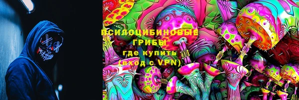 крисы Алексин