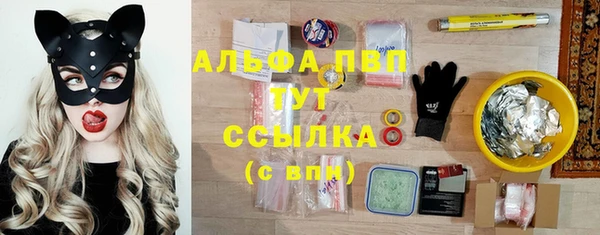 крисы Алексин