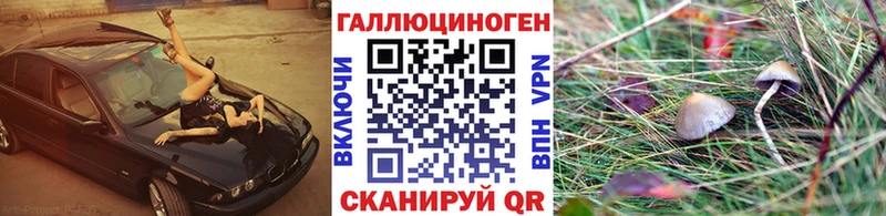 Галлюциногенные грибы прущие грибы  площадка клад  Микунь 